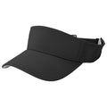OPTIC ADJUSTABLE VISOR